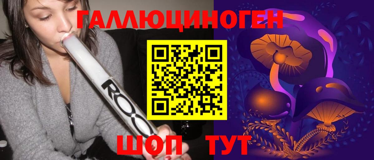 Галлюциногенные грибы Psilocybine cubensis Дзержинск
