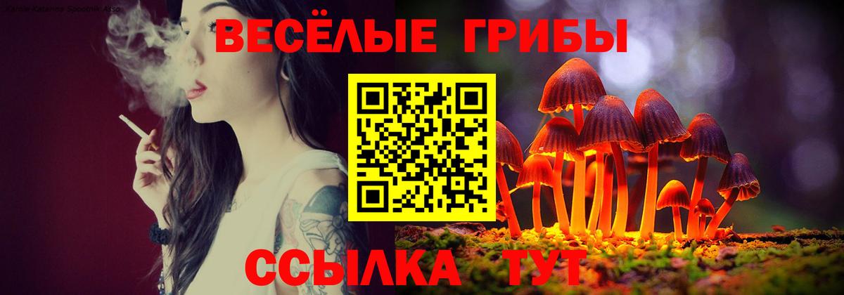 Дзержинск  Псилоцибиновые грибы MAGIC MUSHROOMS  Вход с VPN 